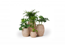 ohmm-categories-outdoor-planters