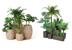 ohmm-categories-outdoor-planters